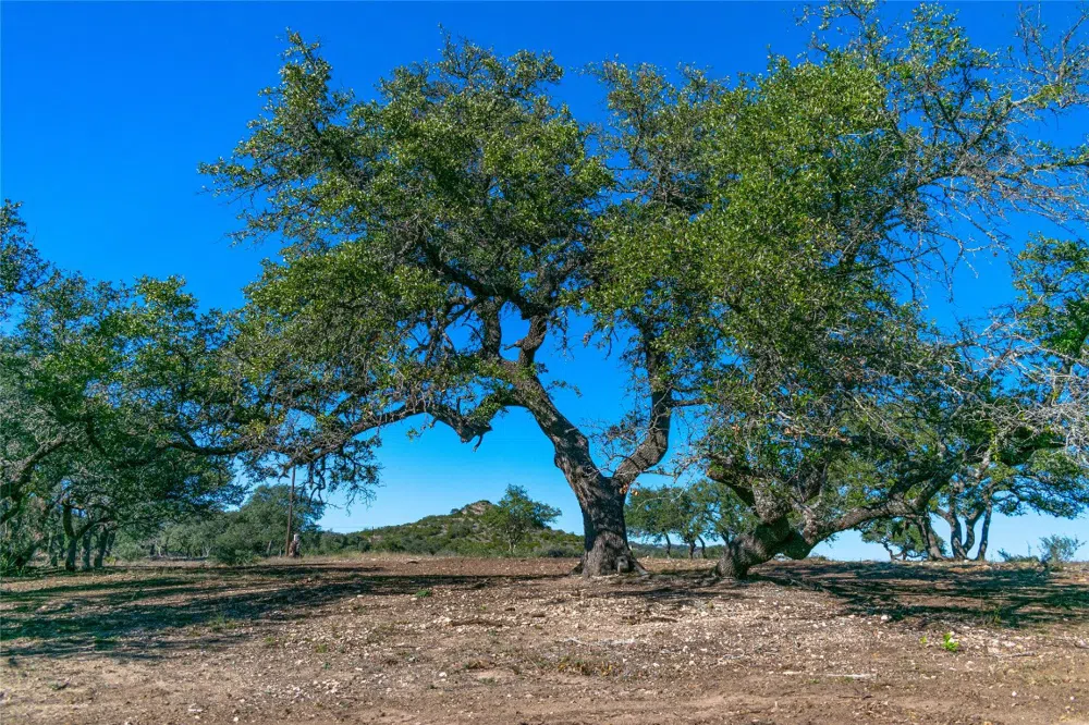 281 Highway Blanco, TX 78606
