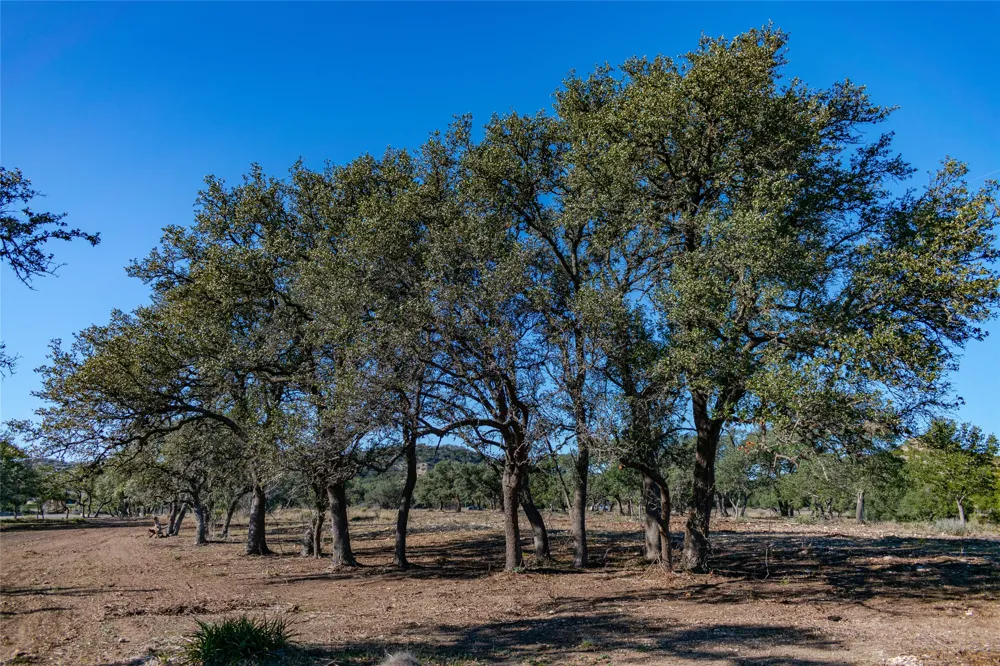 281 Highway Blanco, TX 78606