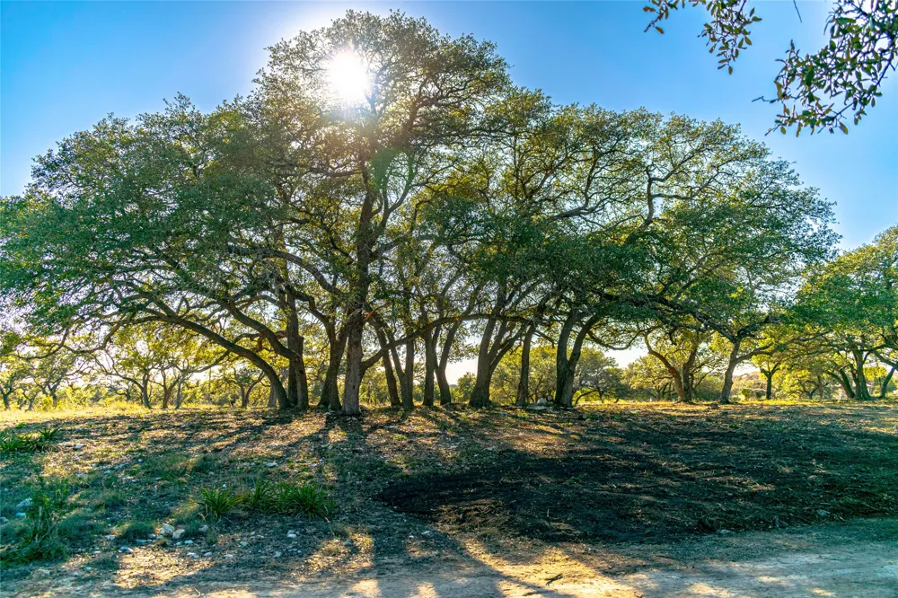 281 Highway Blanco, TX 78606