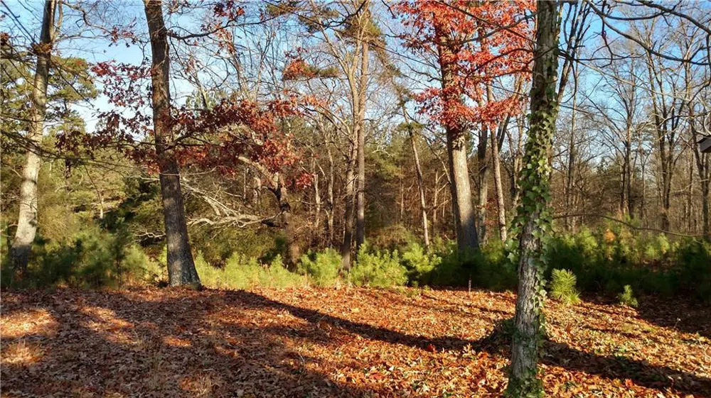 0 Highway 92 Acworth, GA 30102