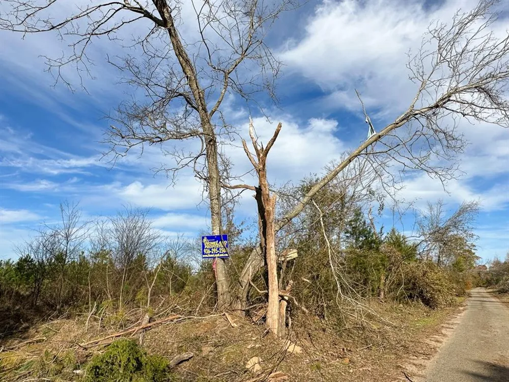 CR 3201 Daingerfield, TX 75638