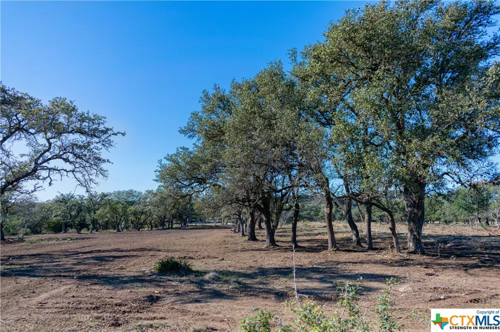 281 Highway Blanco, TX 78606