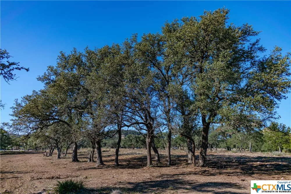 281 Highway Blanco, TX 78606