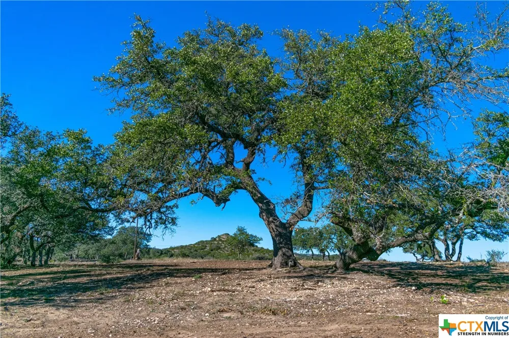281 Highway Blanco, TX 78606