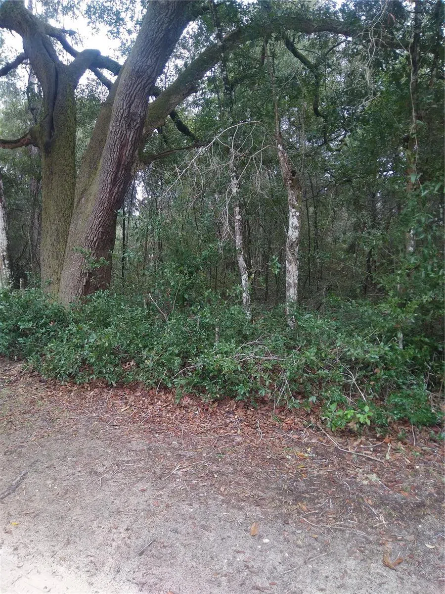 00 NE 147TH COURT Silver Springs, FL 34488