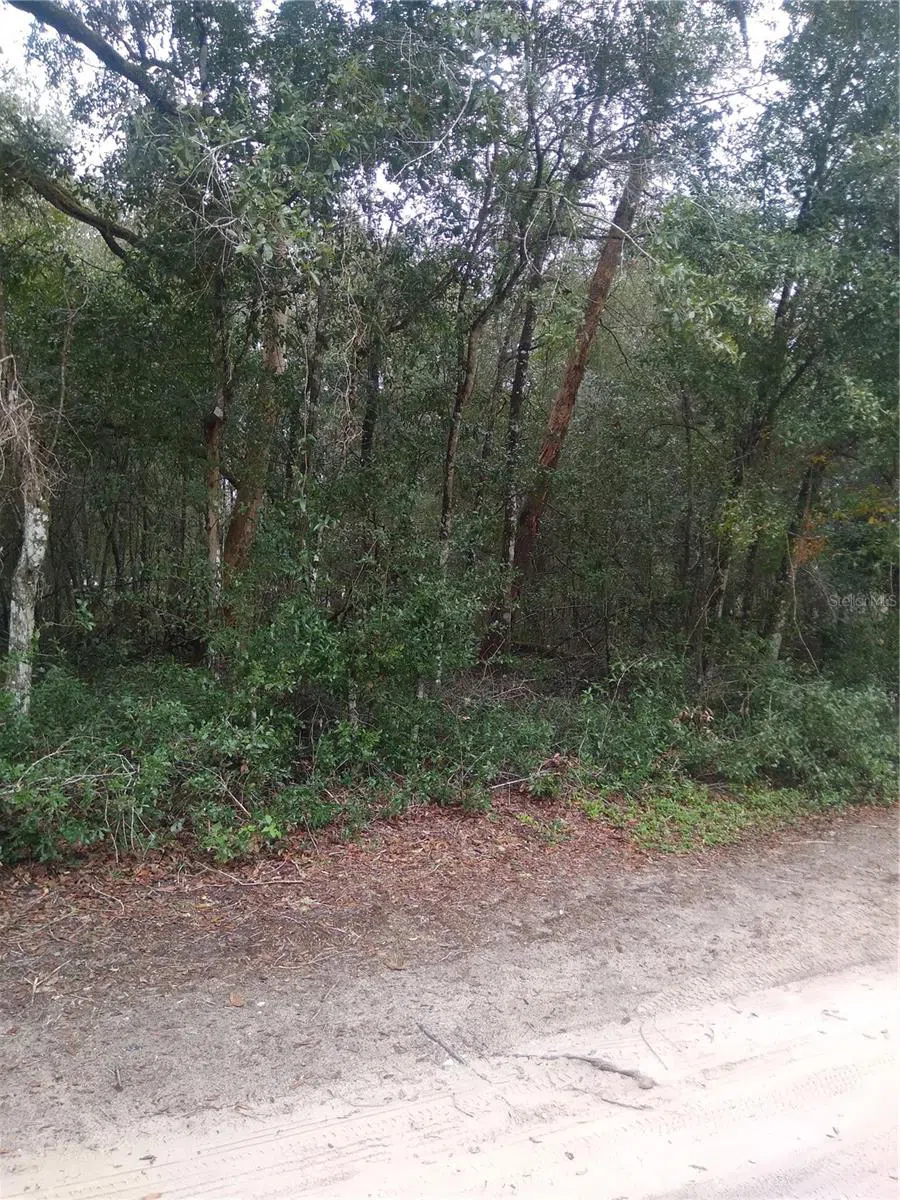 00 NE 147TH COURT Silver Springs, FL 34488