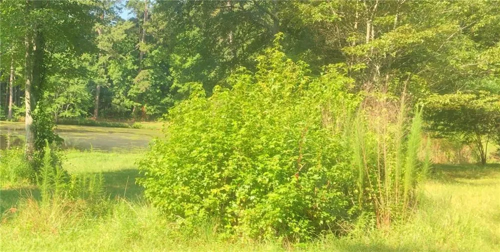 1405 Rock Springs Road Buford, GA 30519