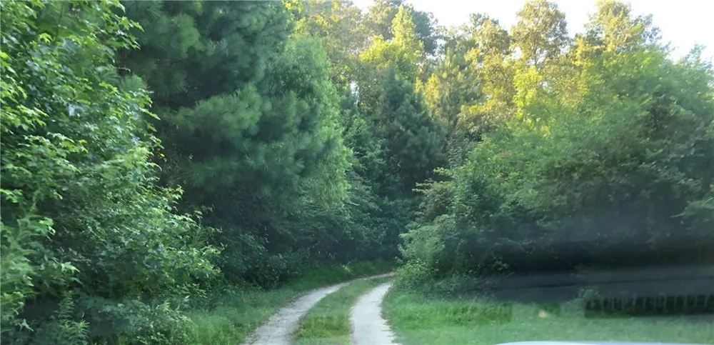 1405 Rock Springs Road Buford, GA 30519