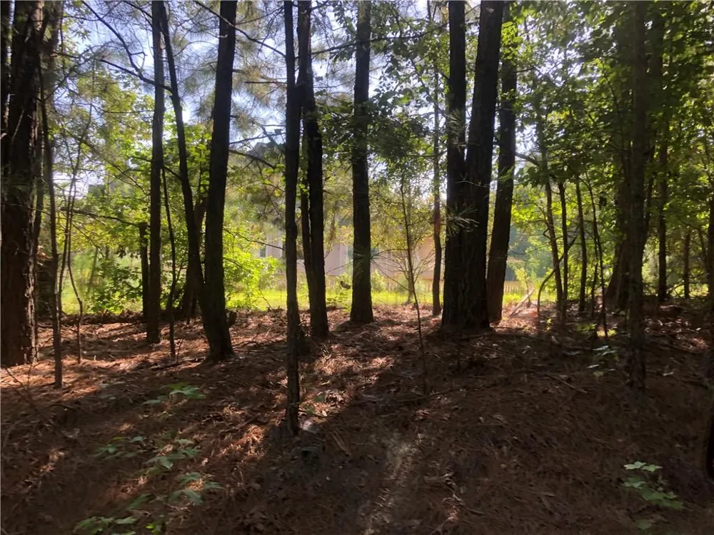 1405 Rock Springs Road Buford, GA 30519