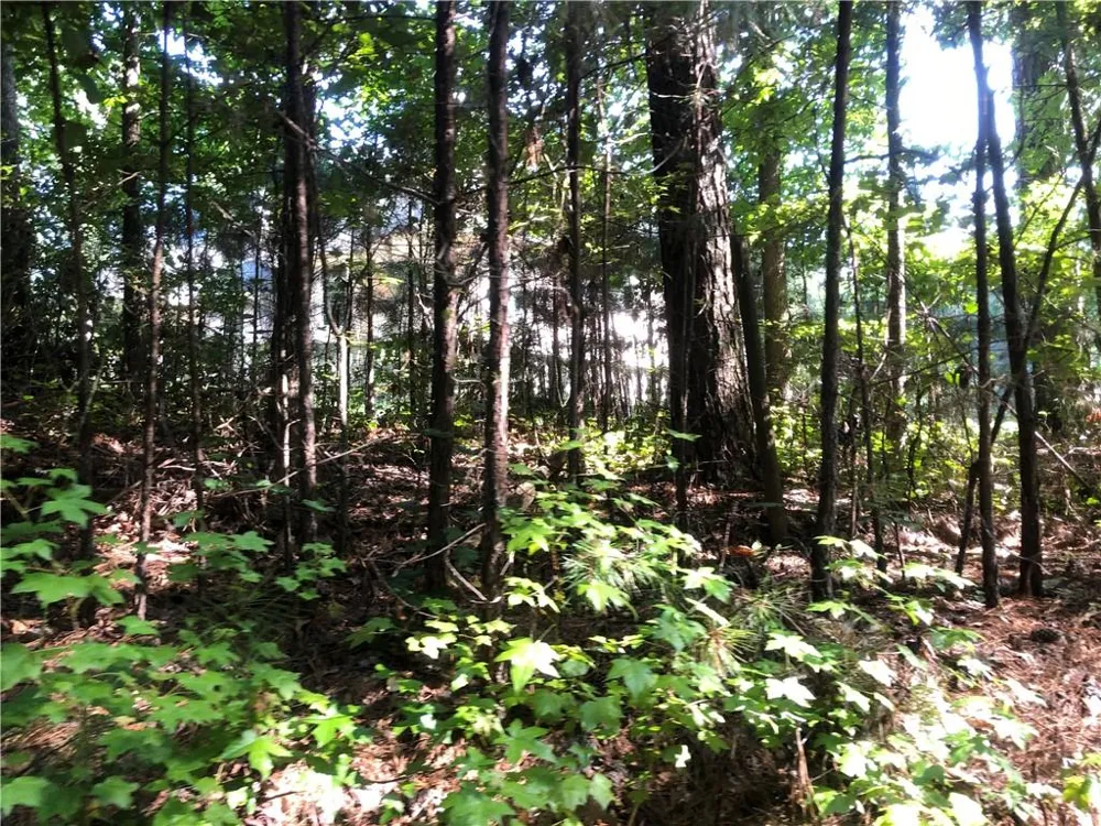 1405 Rock Springs Road Buford, GA 30519