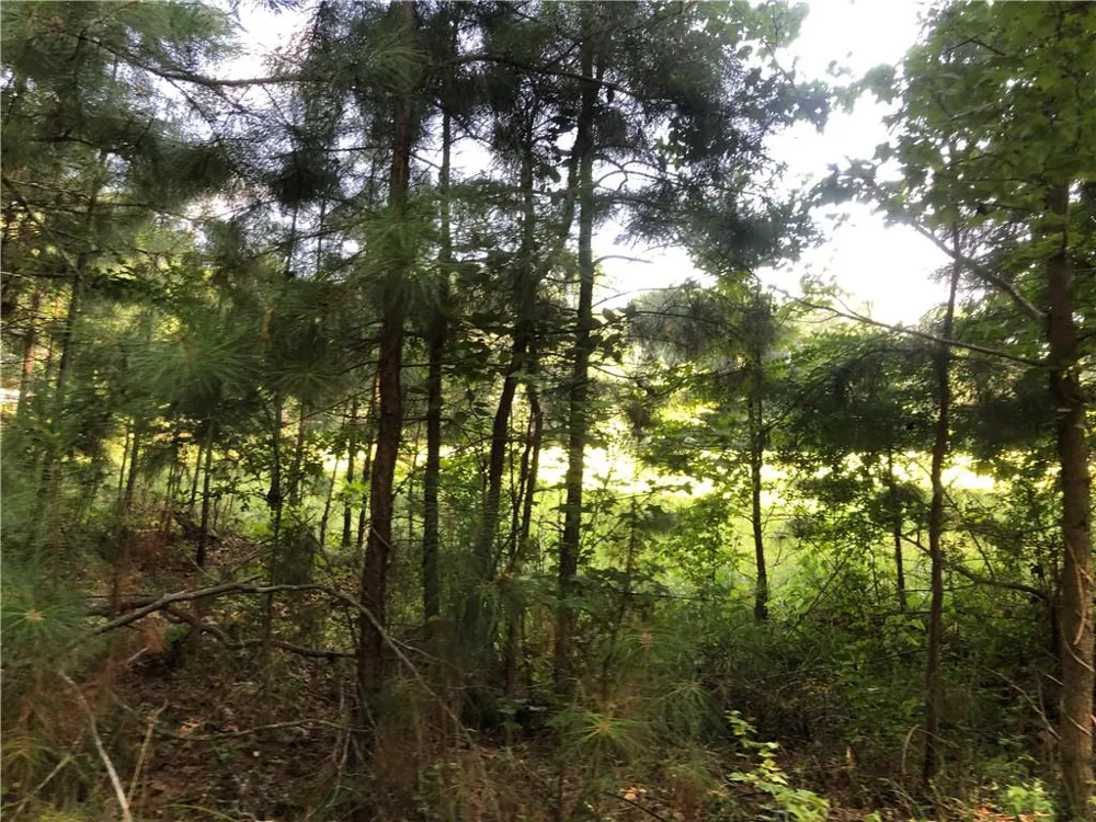 1405 Rock Springs Road Buford, GA 30519