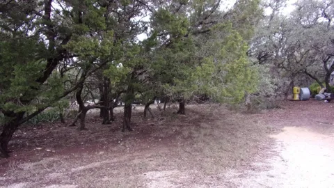 46 Mountain Wood