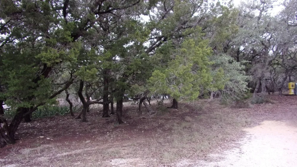 46 Mountain Wood Canyon Lake, TX 78133
