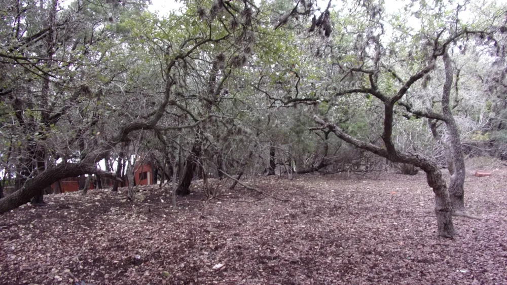 46 Mountain Wood Canyon Lake, TX 78133