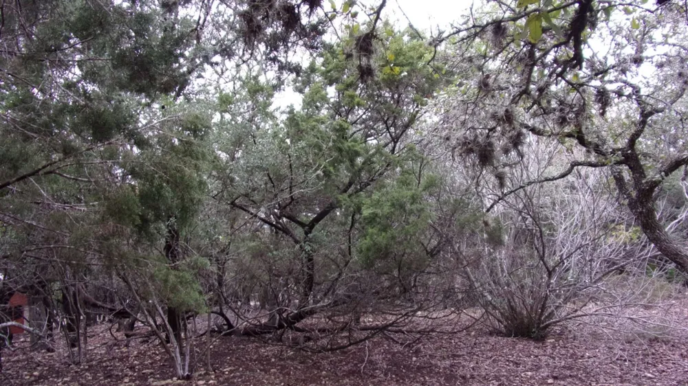 46 Mountain Wood Canyon Lake, TX 78133