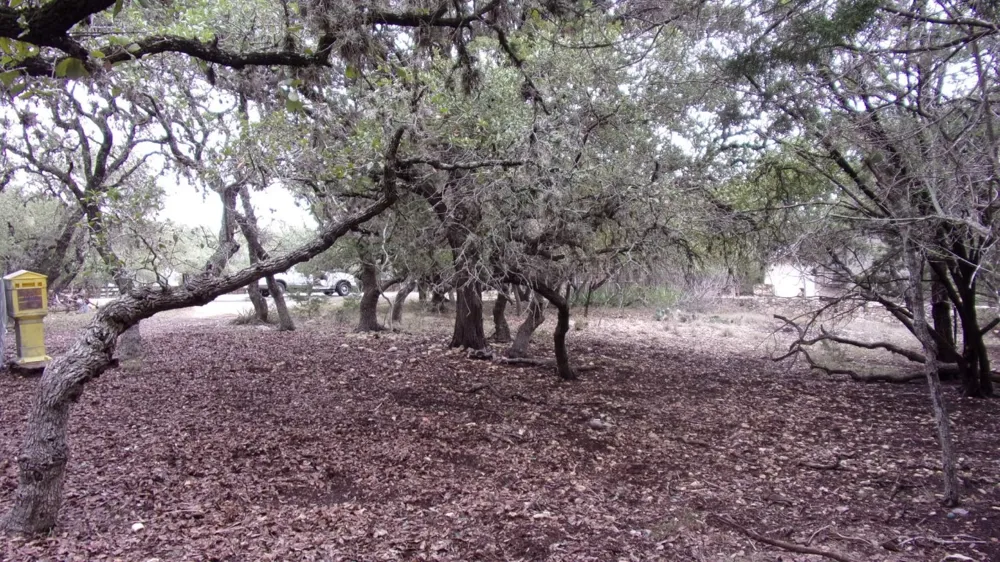46 Mountain Wood Canyon Lake, TX 78133