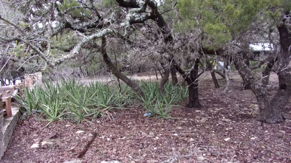 46 Mountain Wood Canyon Lake, TX 78133