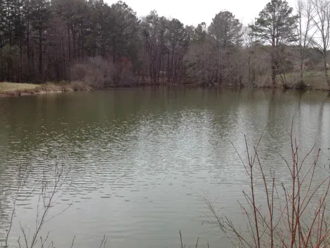 2255 Mountain Road