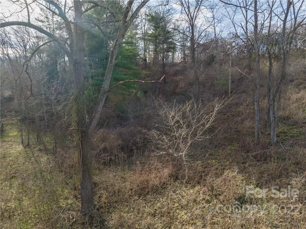 0 Midway Crossing Drive #15 Clyde, NC 28721