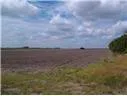 00 Expressway 83 Highway Harlingen, TX 78552