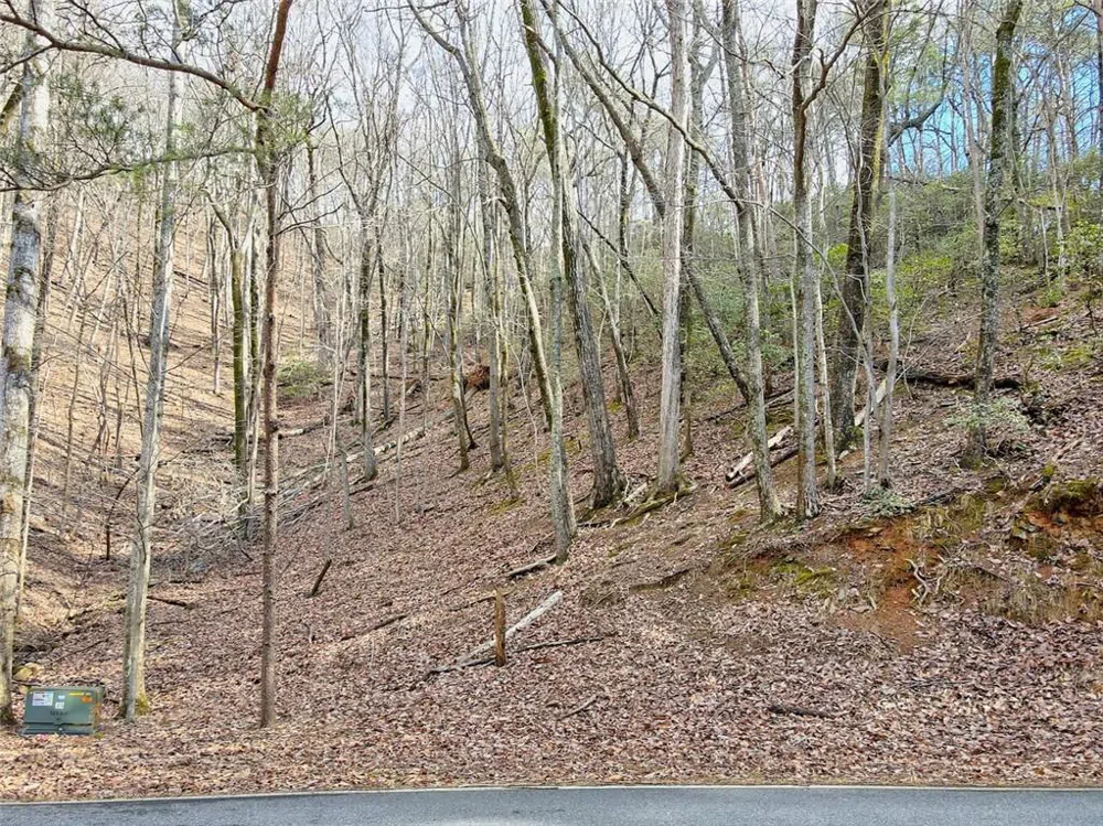 1109 Quail Cove Drive Big Canoe, GA 30143