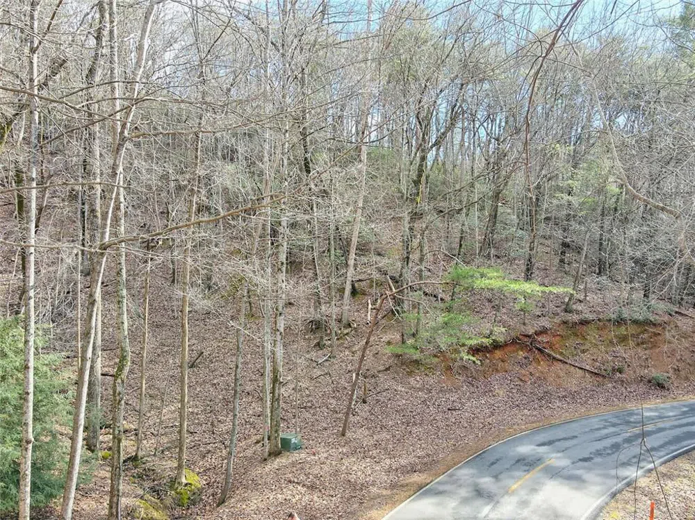 1109 Quail Cove Drive Big Canoe, GA 30143