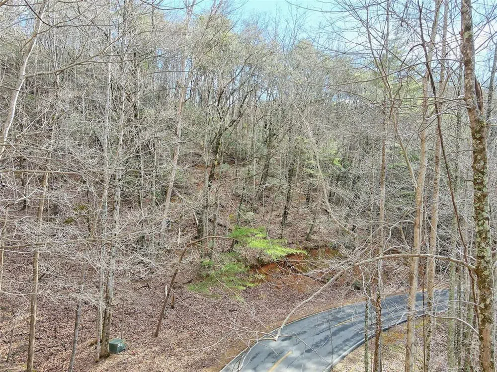 1109 Quail Cove Drive Big Canoe, GA 30143