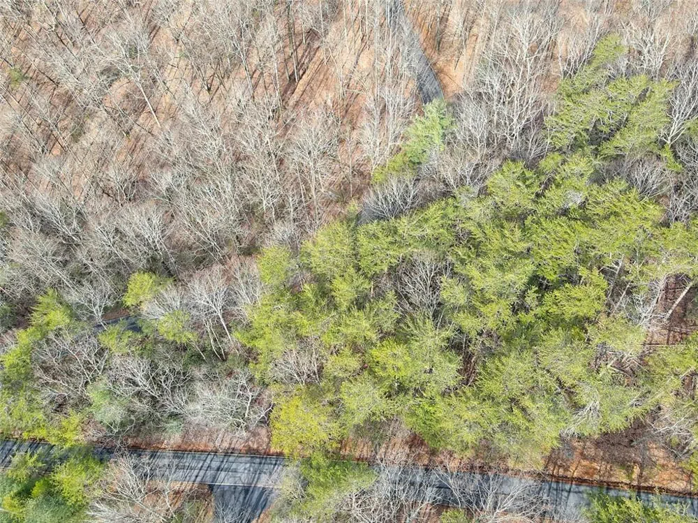 1109 Quail Cove Drive Big Canoe, GA 30143