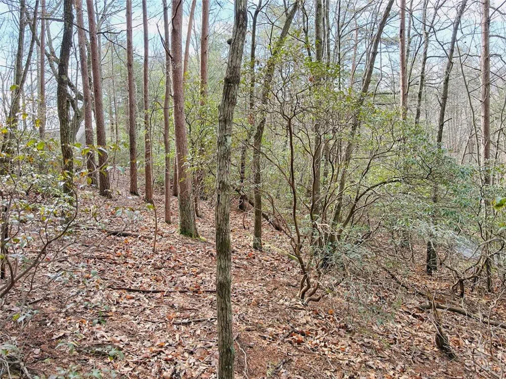 1109 Quail Cove Drive Big Canoe, GA 30143