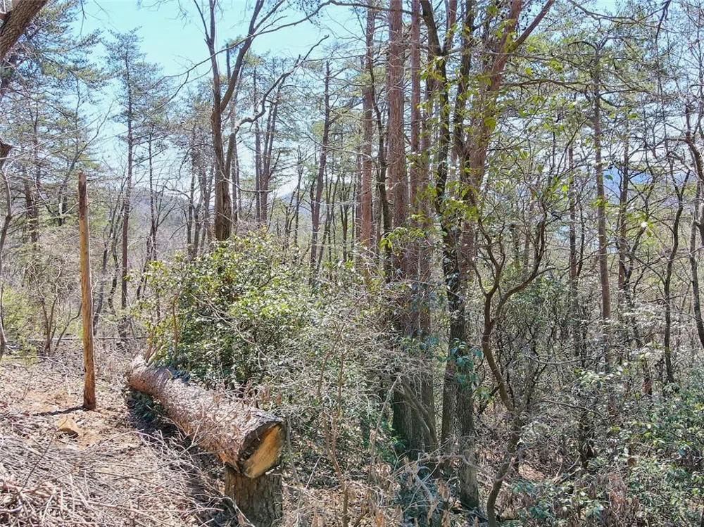 1109 Quail Cove Drive Big Canoe, GA 30143