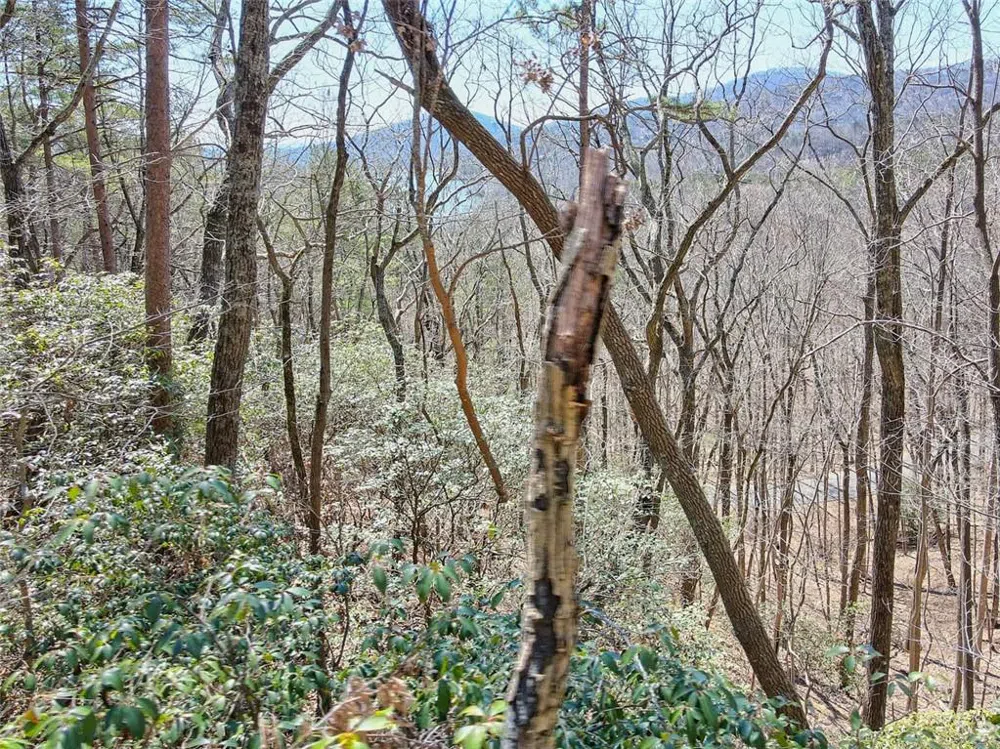 1109 Quail Cove Drive Big Canoe, GA 30143