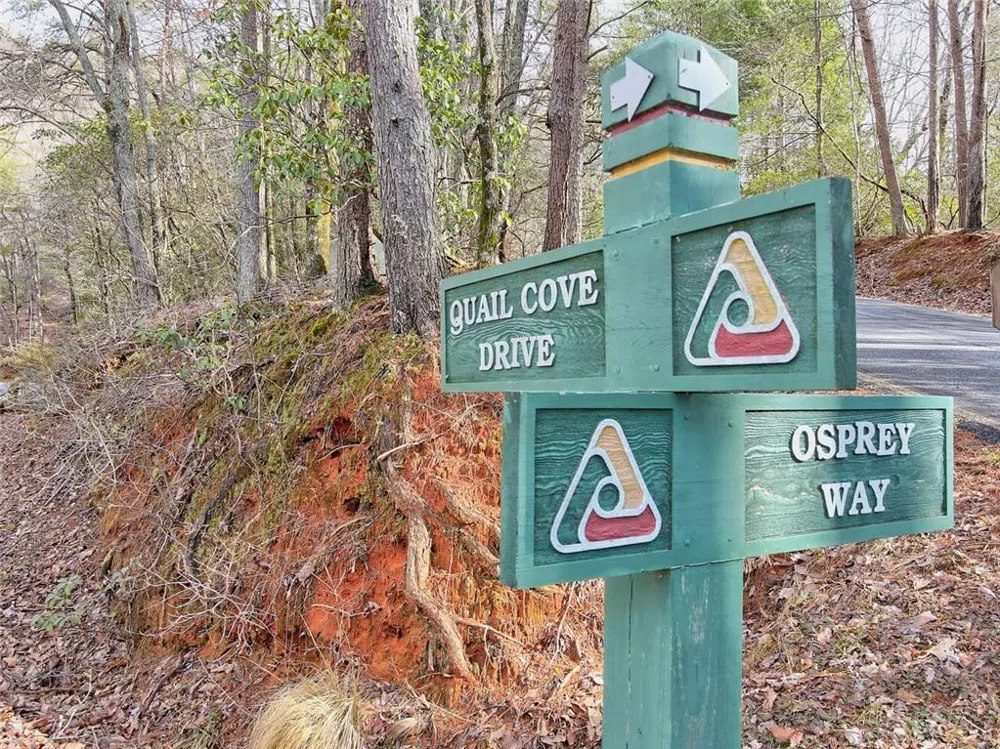 1109 Quail Cove Drive Big Canoe, GA 30143