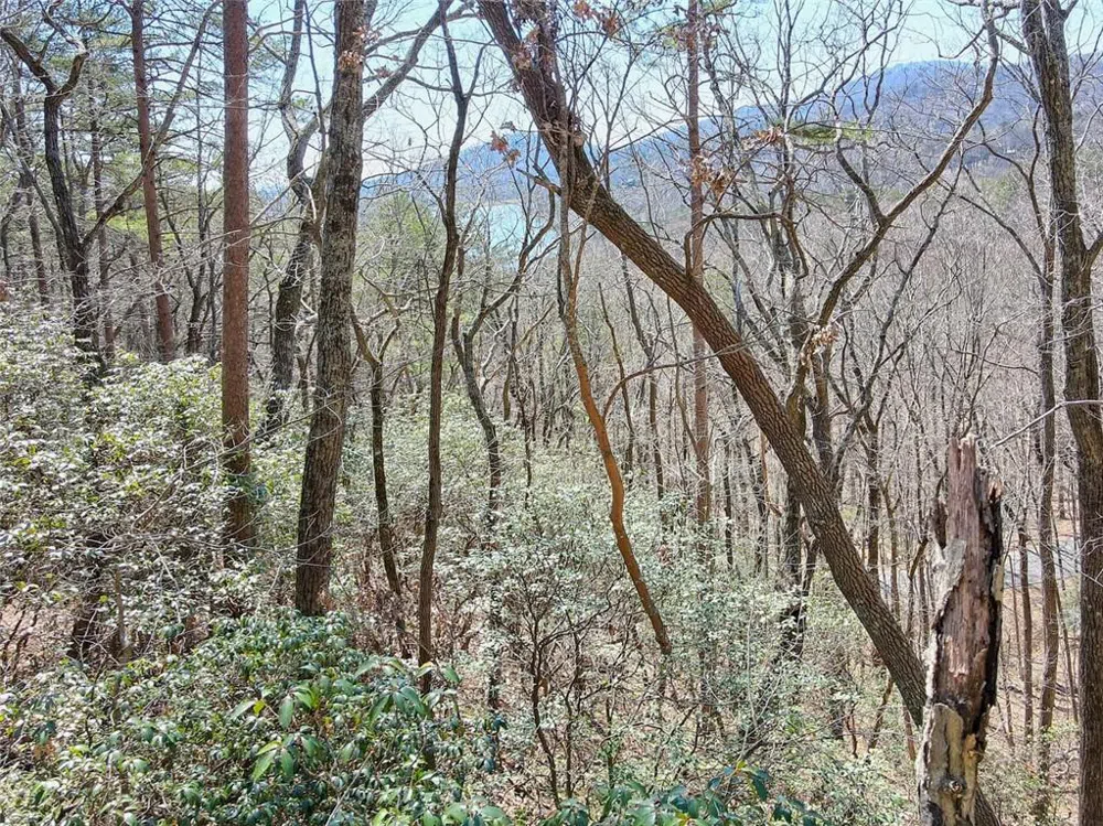 1109 Quail Cove Drive Big Canoe, GA 30143