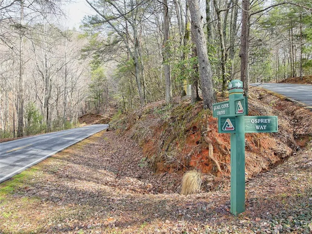 1109 Quail Cove Drive Big Canoe, GA 30143