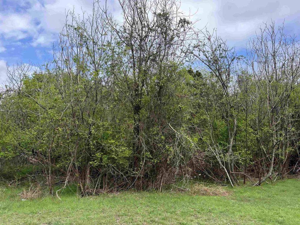 665 County Road 4810