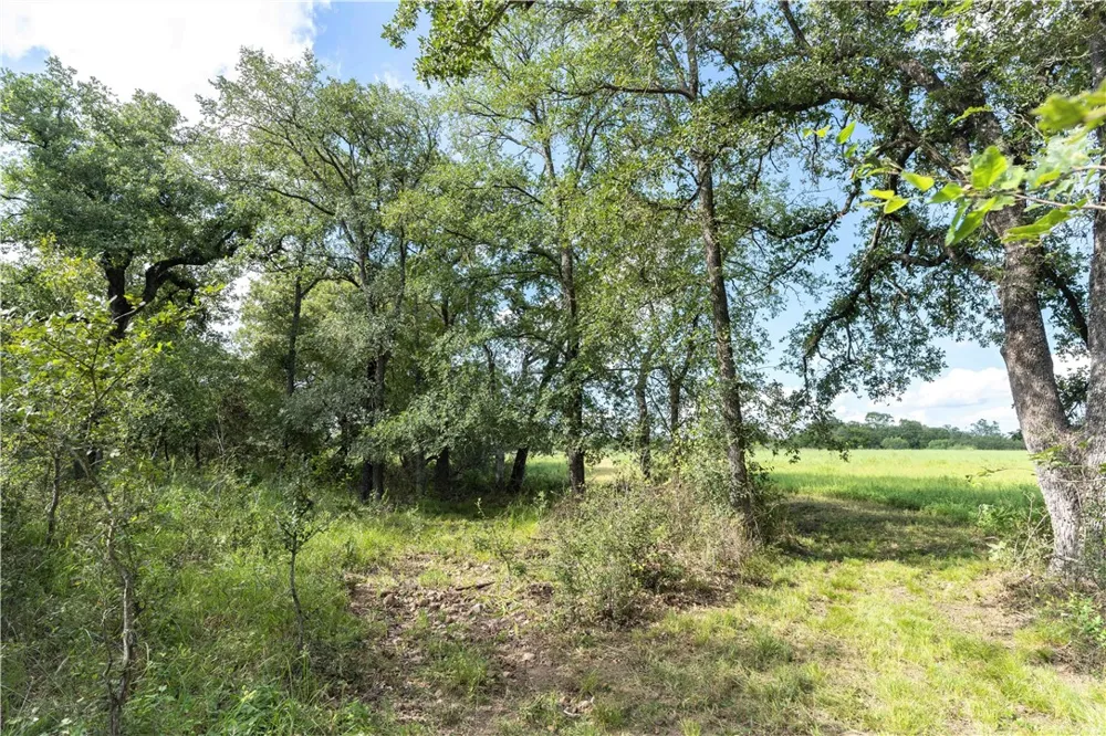 S Hwy 183 Lockhart, TX 78644