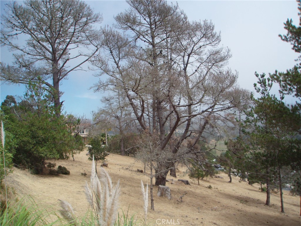 4925 Grove Street Cambria, CA 93428