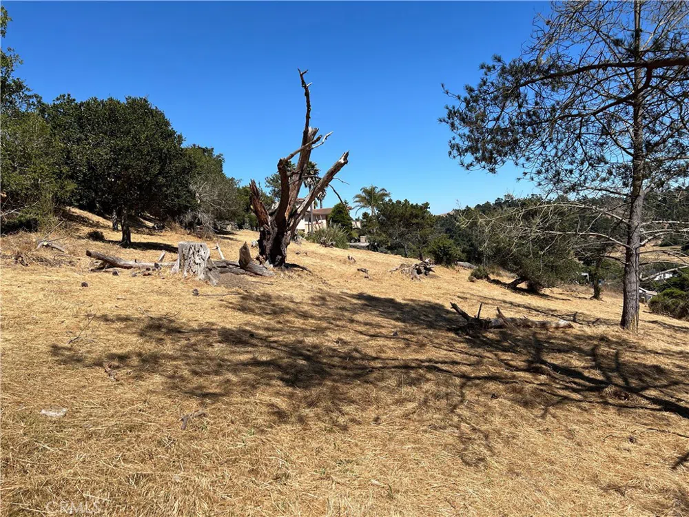 4925 Grove Street Cambria, CA 93428