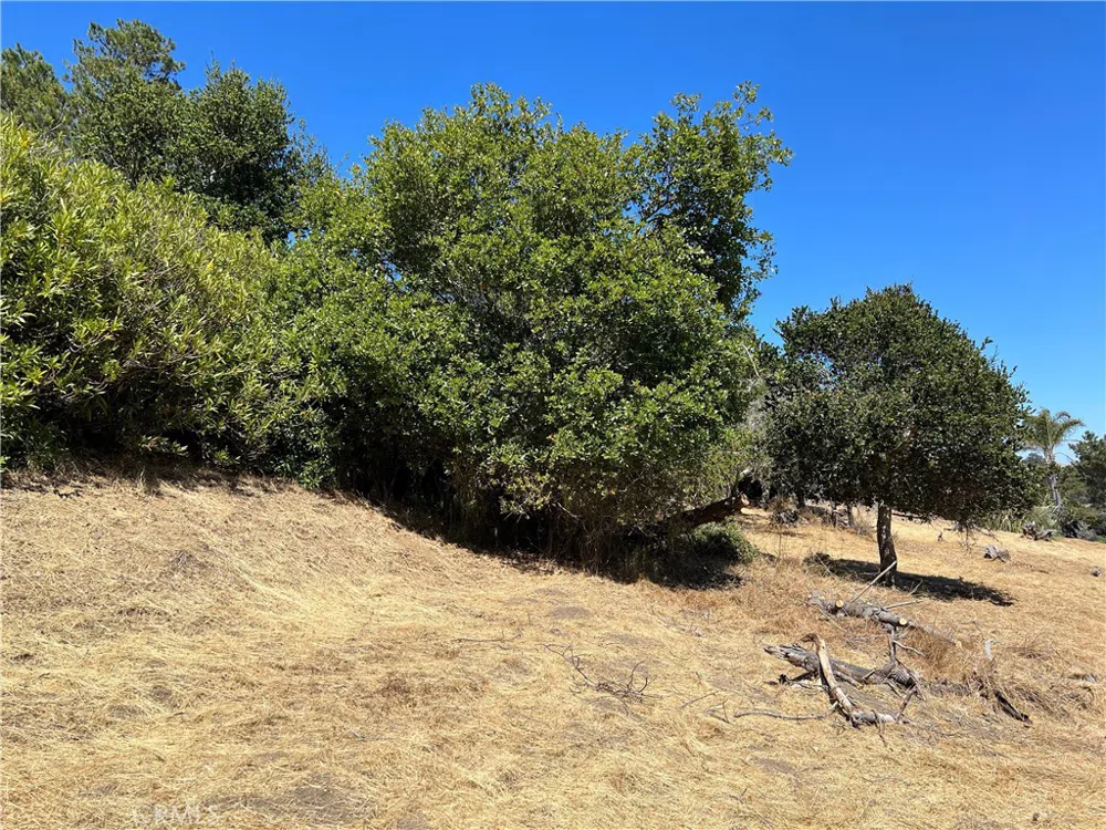 4925 Grove Street Cambria, CA 93428