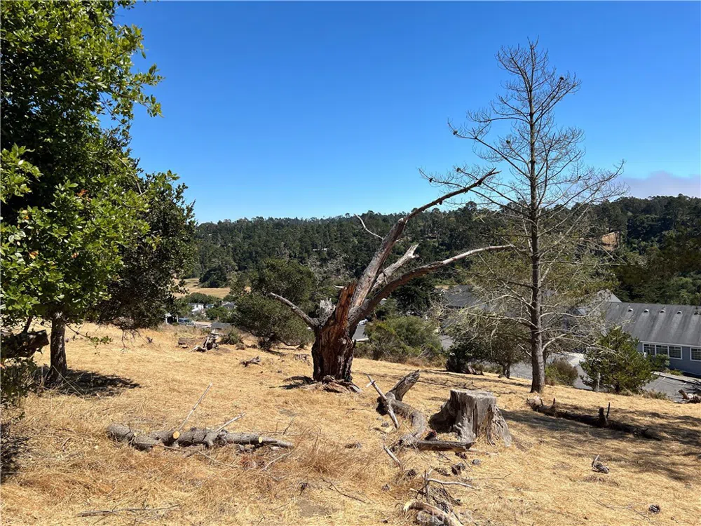 4925 Grove Street Cambria, CA 93428