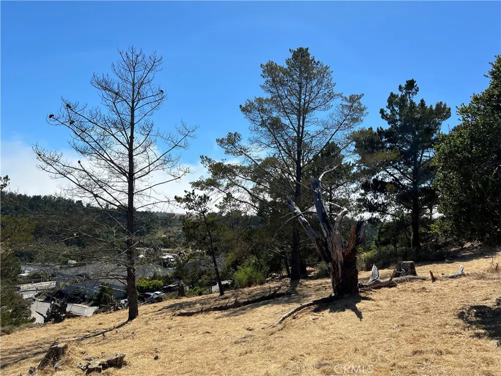 4925 Grove Street Cambria, CA 93428