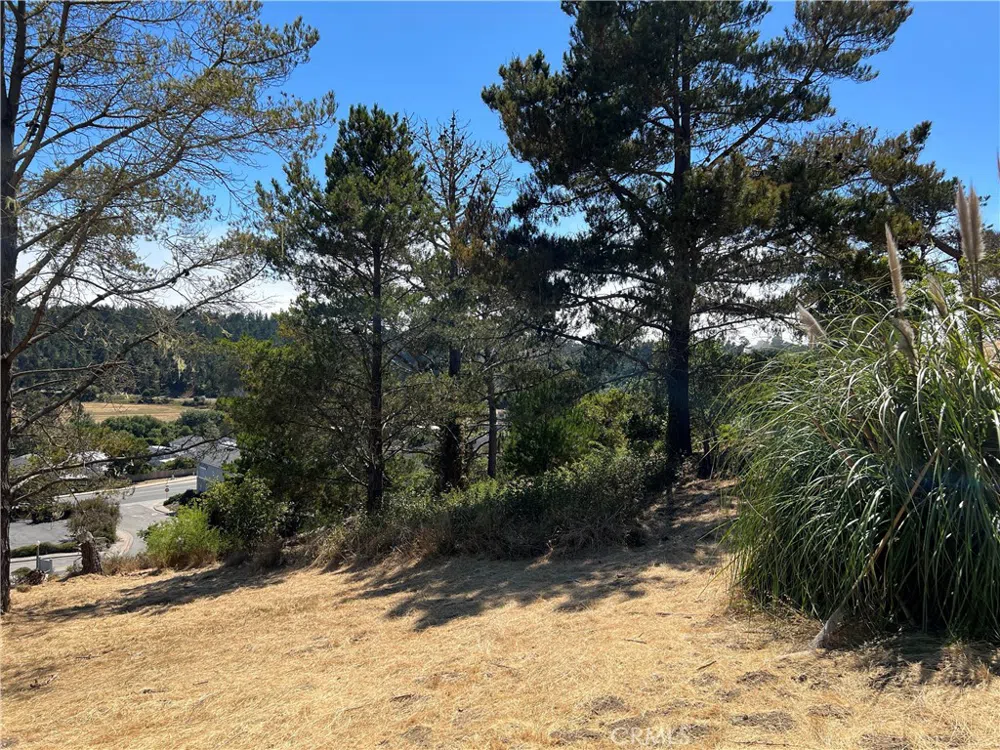 4925 Grove Street Cambria, CA 93428
