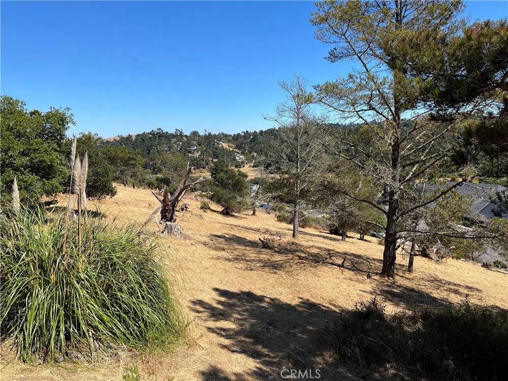 4925 Grove Street Cambria, CA 93428
