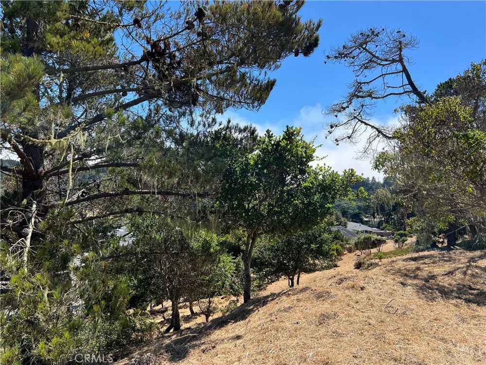 4925 Grove Street Cambria, CA 93428