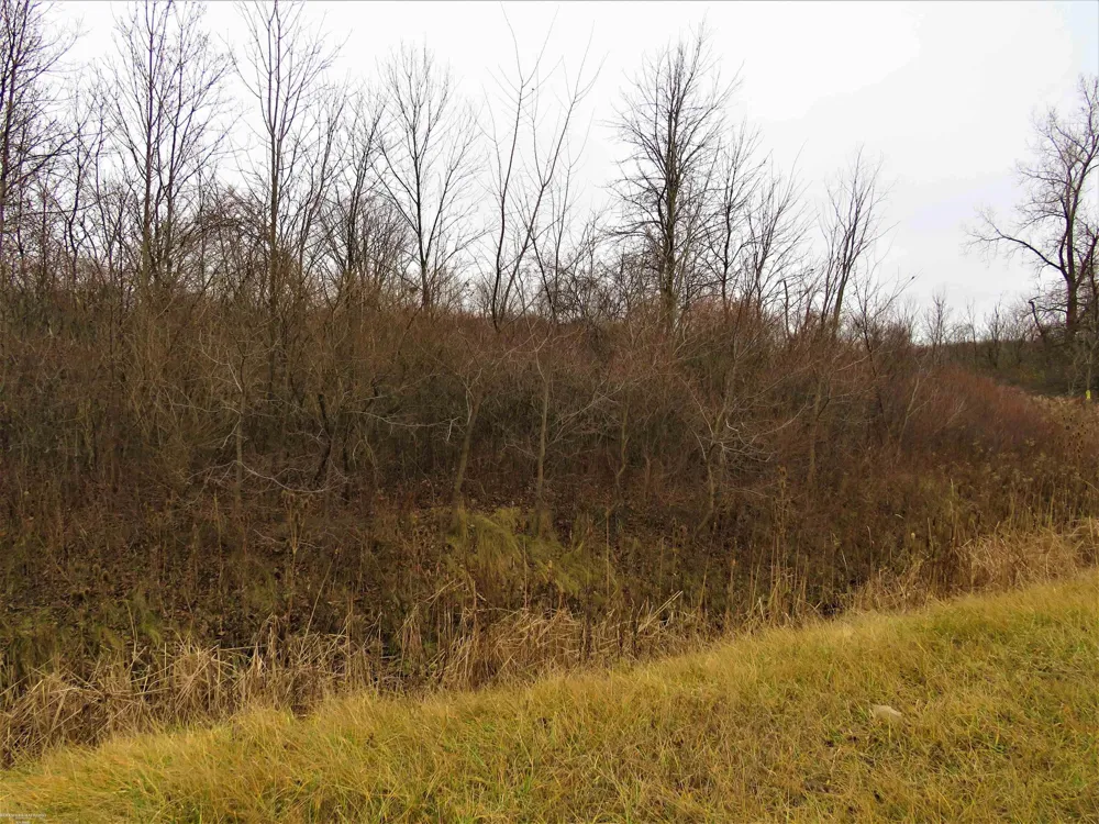 62800 Gratiot Road Lenox Township, MI 48048