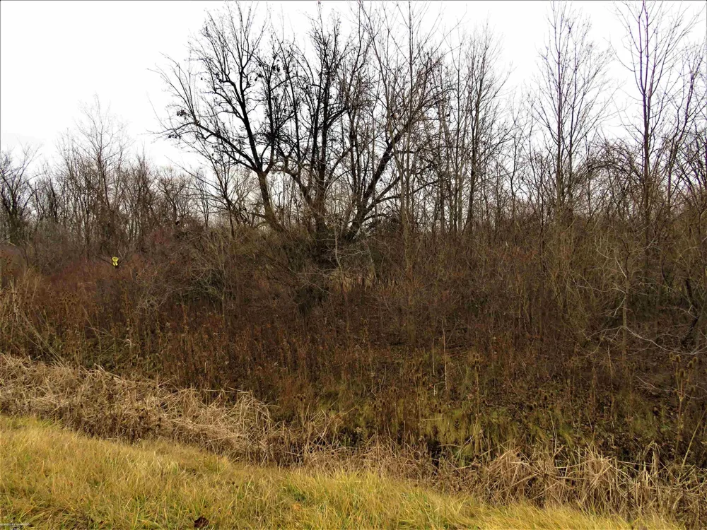 62800 Gratiot Road Lenox Township, MI 48048
