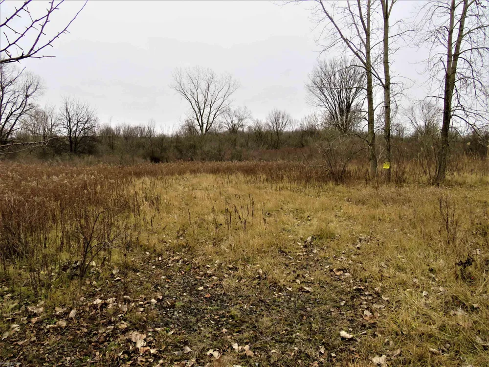 62800 Gratiot Road Lenox Township, MI 48048