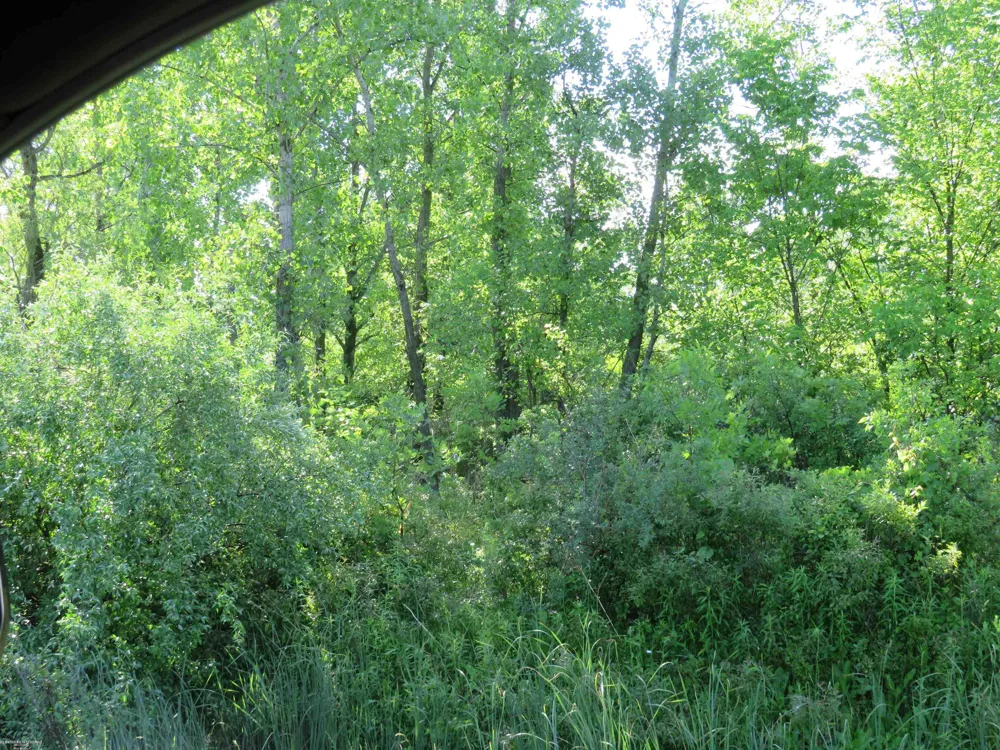 62800 Gratiot Road Lenox Township, MI 48048