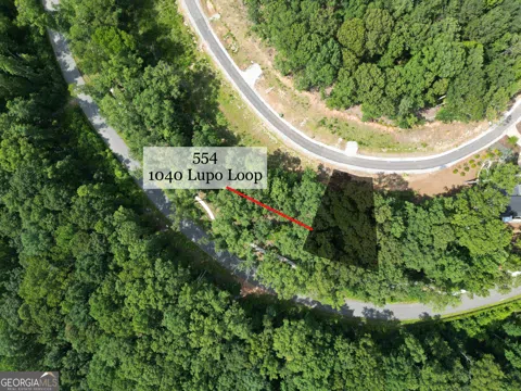 1040 Lupo LOOP