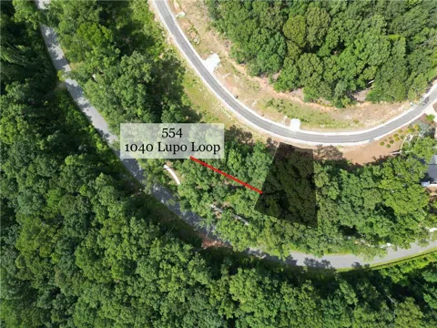 1040 Lupo Loop